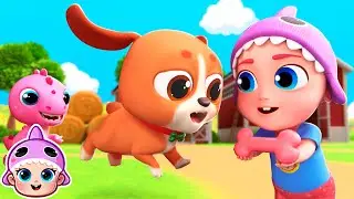 BINGO🐶 | Bubbleee Canciones Infantiles Y Más ✨