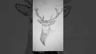 Sketch by Kartikaiy Rathore