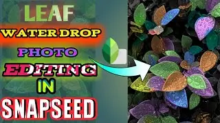 leaf water drop photo editing tutorial in snapseed