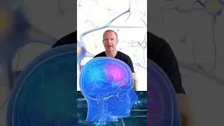 Zdravie mozgu – kognitívne zdravie - riziká a prevencia (shorts 1/7) #vision2action #burnout