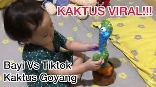 BAYI VS MAINAN KAKTUS GOYANG TIKTOK VIRAL (CACTUS DANCING)