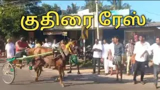 குதிரை ரேஸ் | திருக்கடையூர் ரேஸ் | ரேக்ளா ரேஸ்