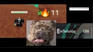 How I SAVED my WINSTREAK against a LEVEL 45 TERRA (Roblox Bedwars)