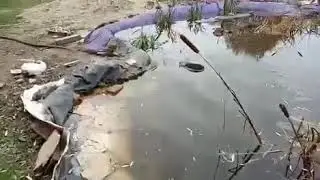 Отзыв о Пленке Винилит от клиента!