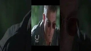 Stop, cowboy
