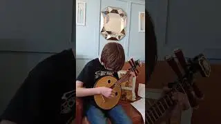 Chinese guitar