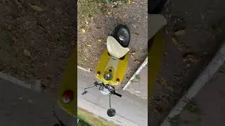 НОВЫЙ ОБЛИК 