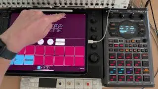 SP404 mk2 - Koala and SP404 mk2 Overview
