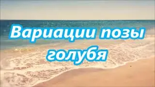 Вариации позы голубя . Йога для начинающих.