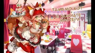 Fate/GO Тамамо Кэт в Комнате Мастера