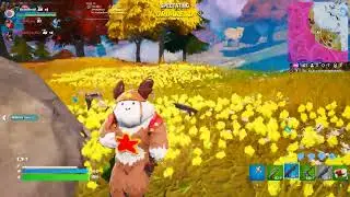 Latest Fortnite Updates Bug
