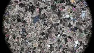 00009
