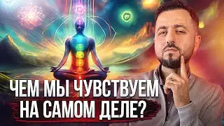 ОНИ ИГРАЮТ БОЛЬШУЮ РОЛЬ | Как наши чакры влияют НА ЖИЗНЬ 