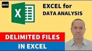 Delimited Files in Excel