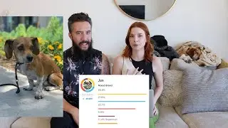 Figuring Out My Dog's DNA