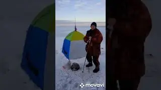 Чудское, прикормка для плотвы, своя или от Дунаева. Насадки
