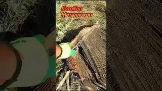 Вот это находка! 5500 рублей одним сигналом. 
