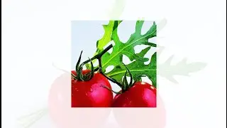Scribus 1.4.5 - PDF/X-3 lässt die Transparenz nicht zu