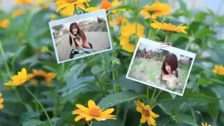 [Project] Photo Gallery on a Flower Holiday For After Effect