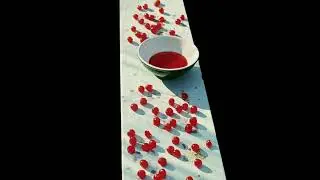 Paul McCartney - Junk (Full Version)