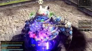 DNSEA Black Mara 1 Golem BTG DPS Test (Rotation Tweaking)