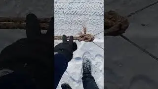 Транспортировка сена подручными средствами