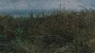 Nortas - Arčiau