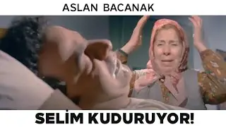 Aslan Bacanak Türk Filmi | Selim Aşkından Kuduruyor!