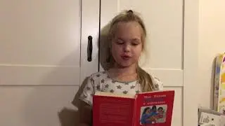 Великий потоп, Ной и ковчег