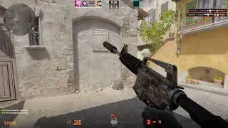 PRIMAL | CS2