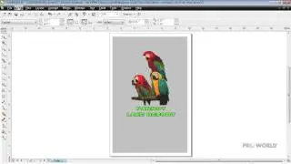 ColorTrans Art Requirement For Corel Draw