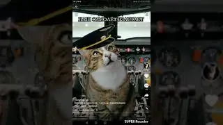 Мультик про котик 1-2-3-4-5-6 части