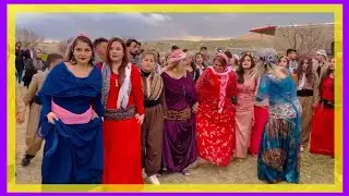Beautiful dance of Kurdish girls