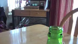 ***Yuengling lager, a casual tasting****