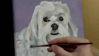 Chi Chi time lapse