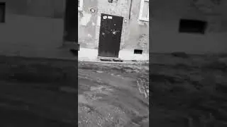 Арт хаус фильм Гость (2021)