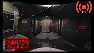 The COMPANY WANTS YOU