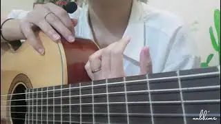 [Tự học Guitar] #20 Điệu đàn? Ai đúng ai sai?