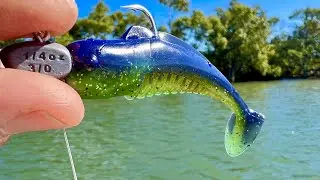 RARE CATCHES IN THE CREEK