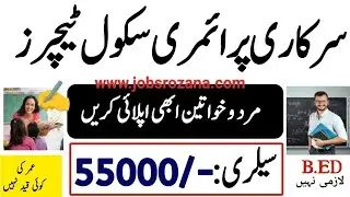 Teachers Jobs 2023 - Primary Teachers Jobs 2023 - Female Educators Jobs 2023 Announced