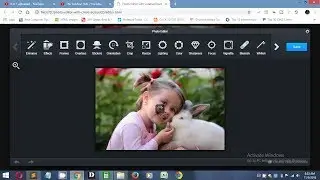 Image editor with 