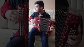 Гармонь 