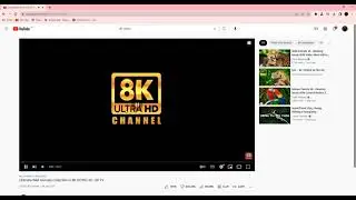 8k Video Watching setup Tutorial on Google Chrome browser Meme | Aman Ullah