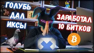 Заработал 10 битков на Голубе ! PGN coin дал 46 иксов | Мое возвращение