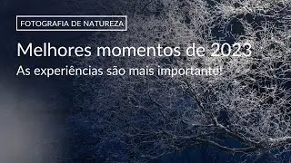 FOTOGRAFIA DE NATUREZA | Melhores Momentos 2023