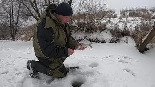 ROACH, PERCH ON A JIG. ICE FISHING ON THE RIVER. ROACH TEARS THE FISHING LINE.