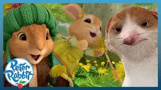 ‪@OfficialPeterRabbit‬