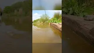 That'll be on! #fishing #matchfishing #carpfishing #polefishing