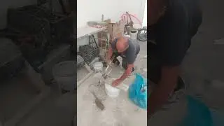 Не дадуть відпочити