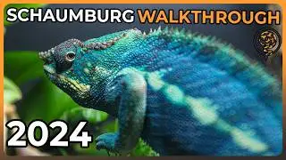 The Full Schaumburg NARBC 2024 Reptile Expo Walkthrough!